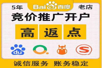 案例分享：SEM推广助力电商快速崛起